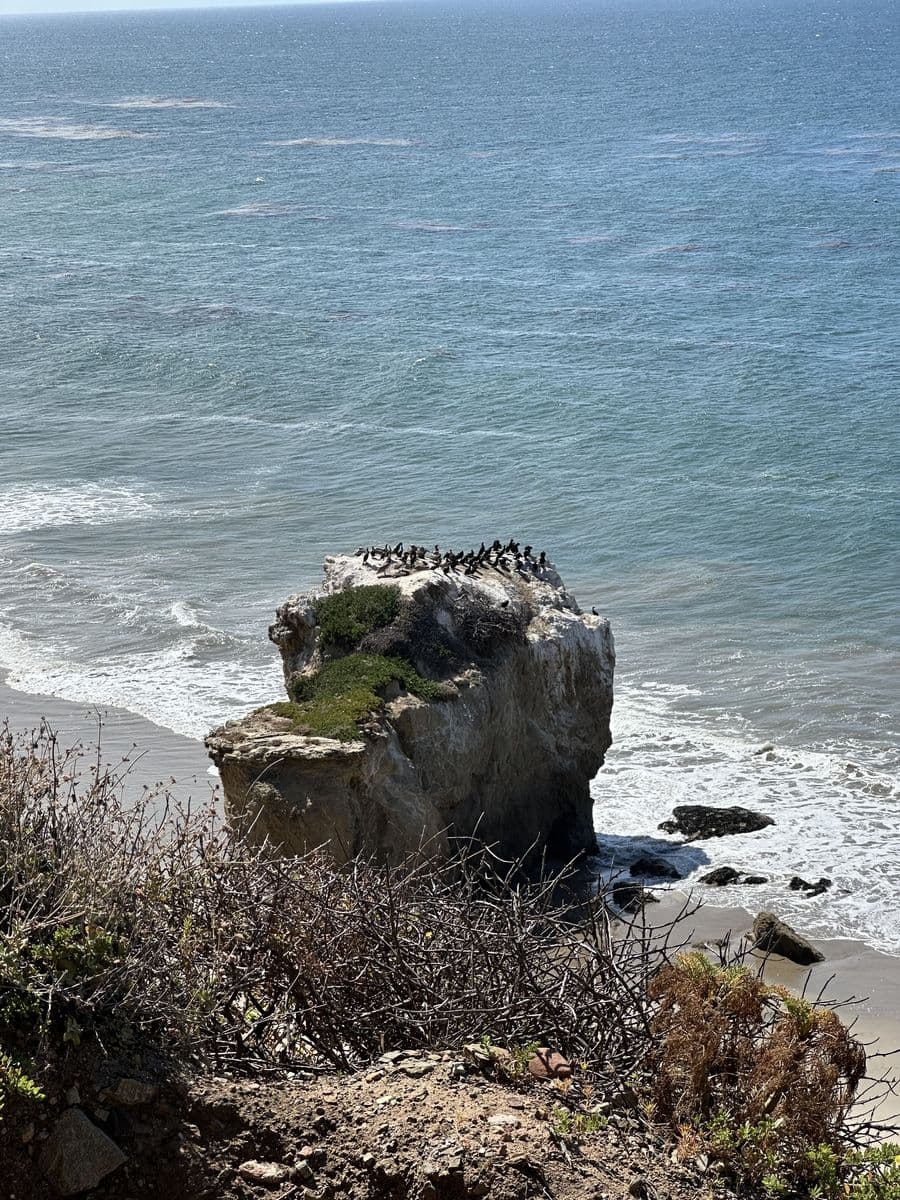 Souvenir du jour 5 — Malibu, Beverly Hills, Hollywood & The Grove