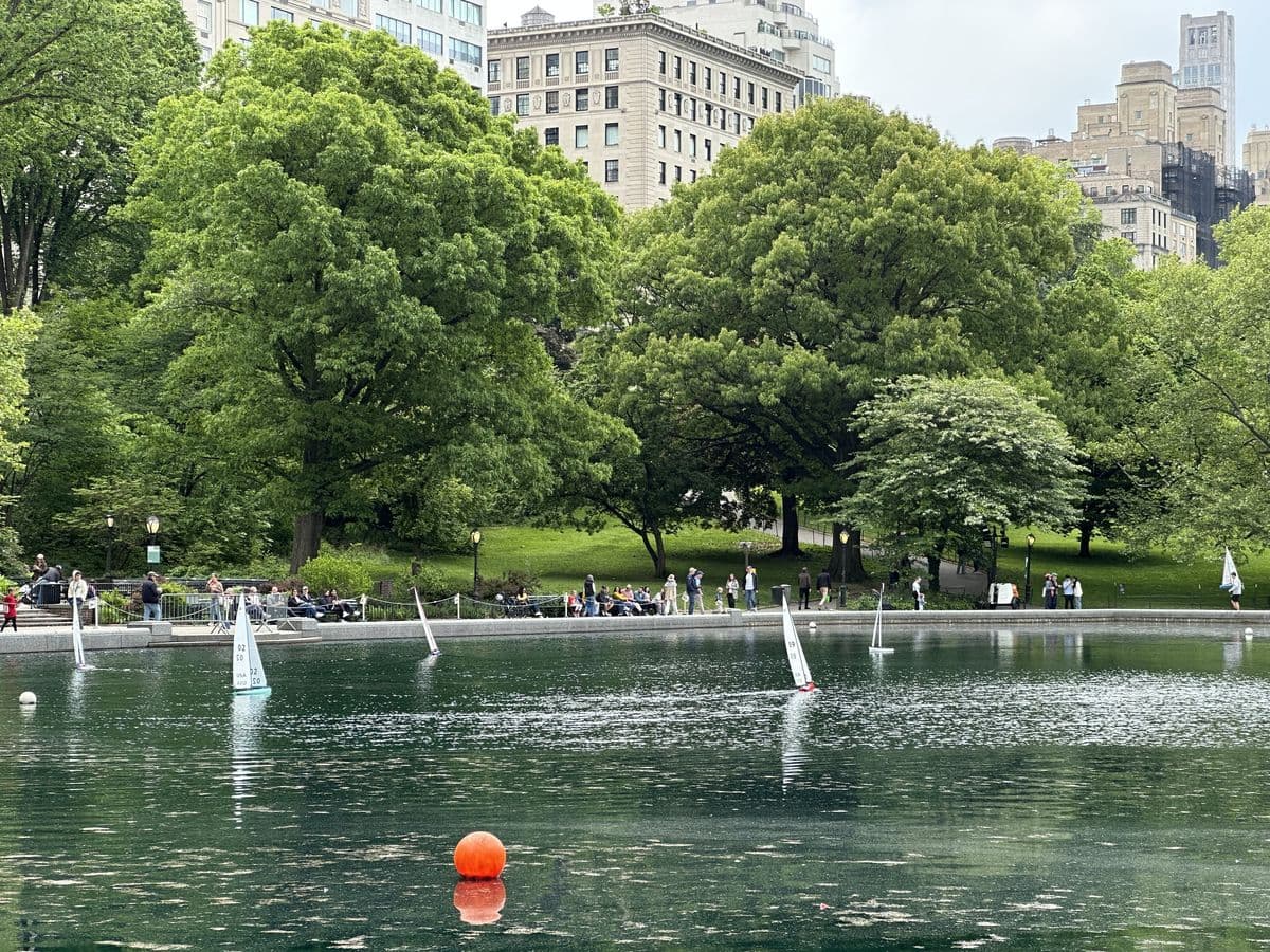 Souvenir du jour 9 — Central Park, Musée du MET & Saks 5th Ave