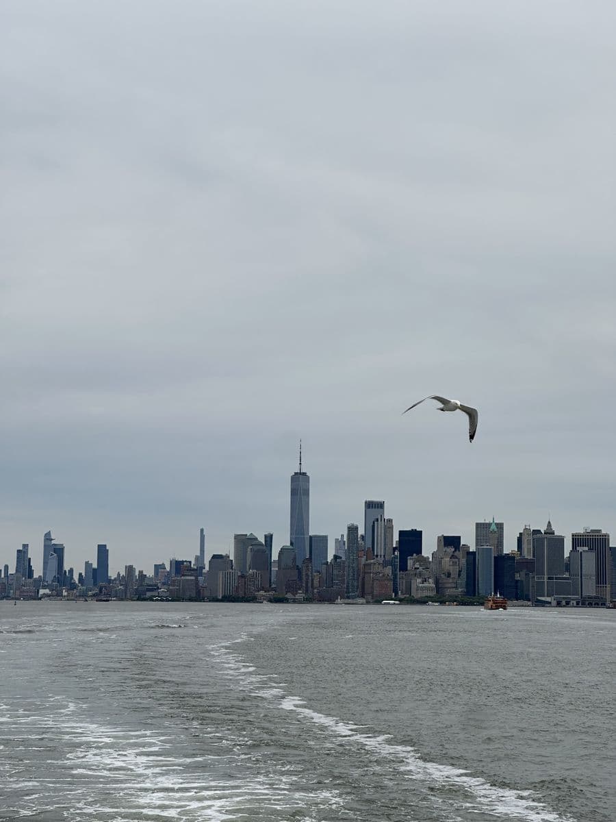 Souvenir du jour 11 — Brooklyn Ferry, Taureau de Wall Street & Vol Toronto