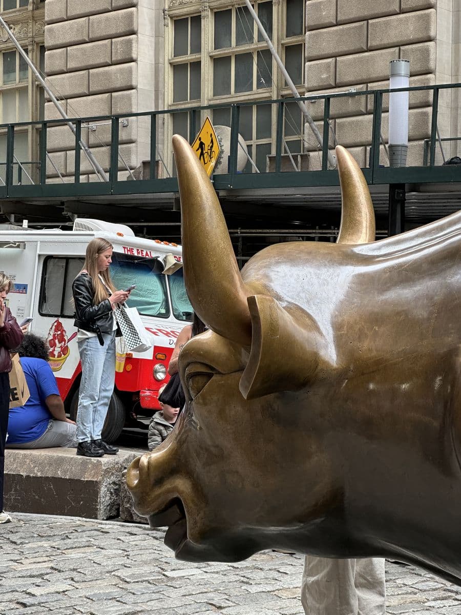 Souvenir du jour 11 — Brooklyn Ferry, Taureau de Wall Street & Vol Toronto