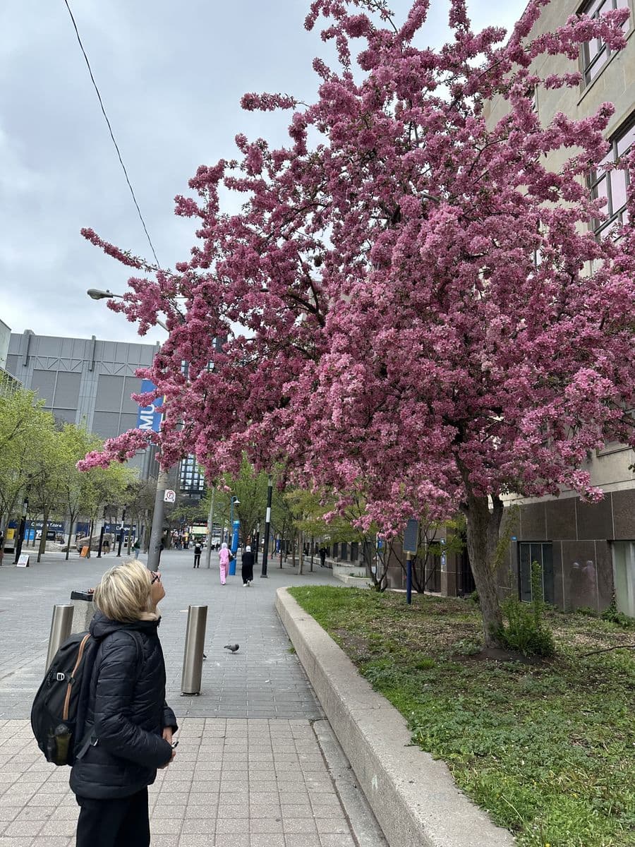 Souvenir du jour 14 — Eaton Centre, Casa Loma & École d'Adrien